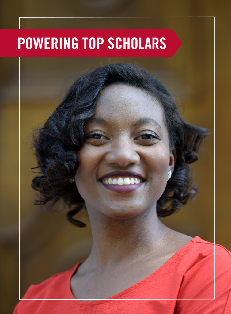 The border element in use.