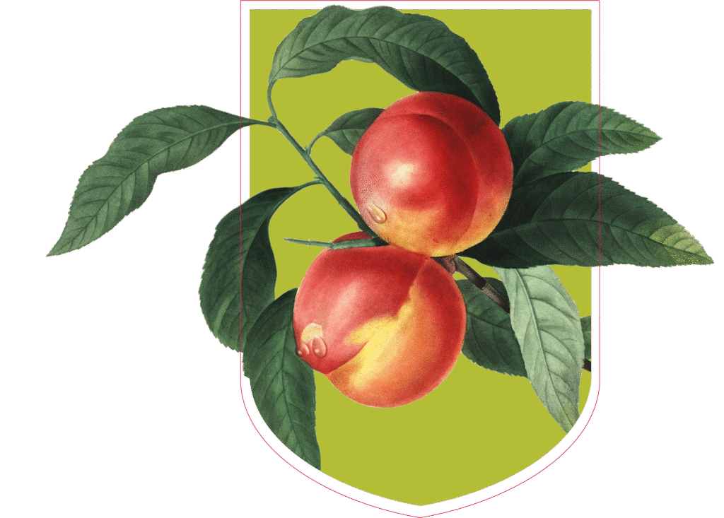 Example of feature cutout in a branded element