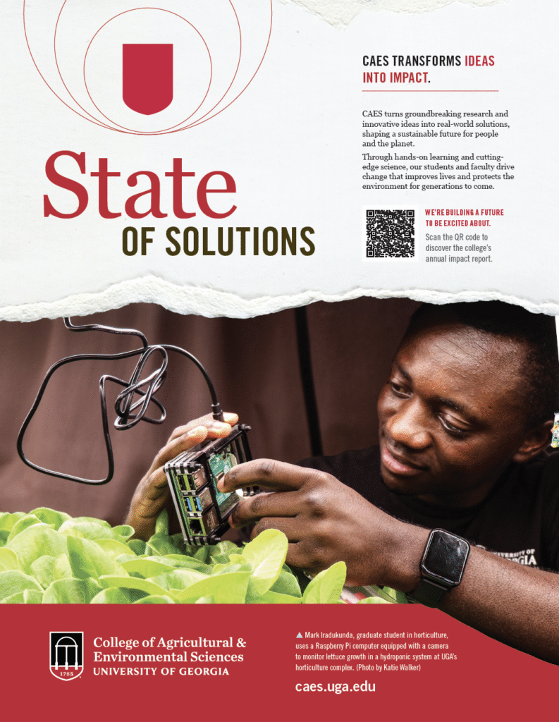 Example of feature cutout in an ad