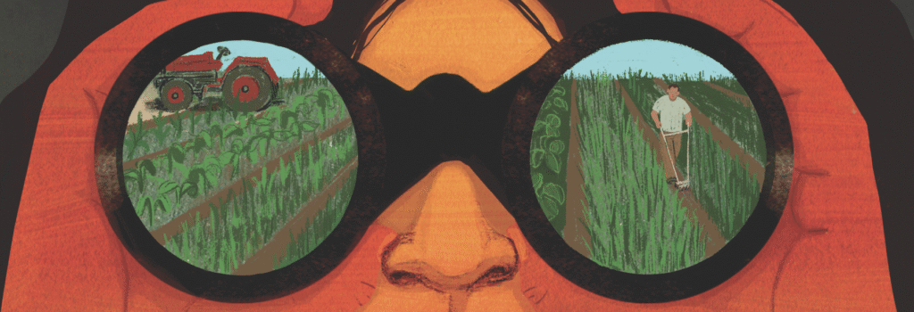 PhotoShelter search header illustration